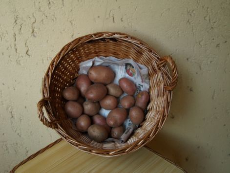 119.jpg